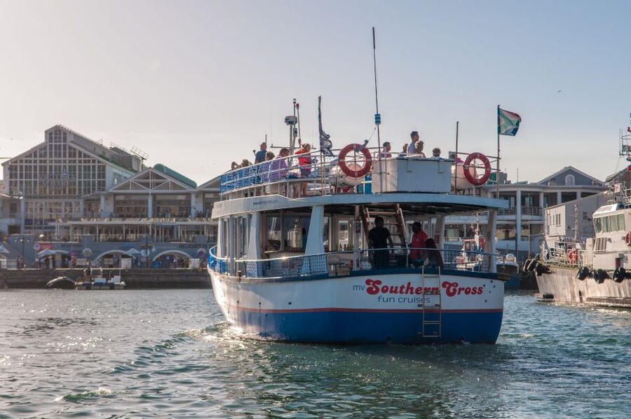 Cape Town: 30 Minute Harbour Boat Cruise with Seal Watching - Seal watching in the harbor: how close is close?