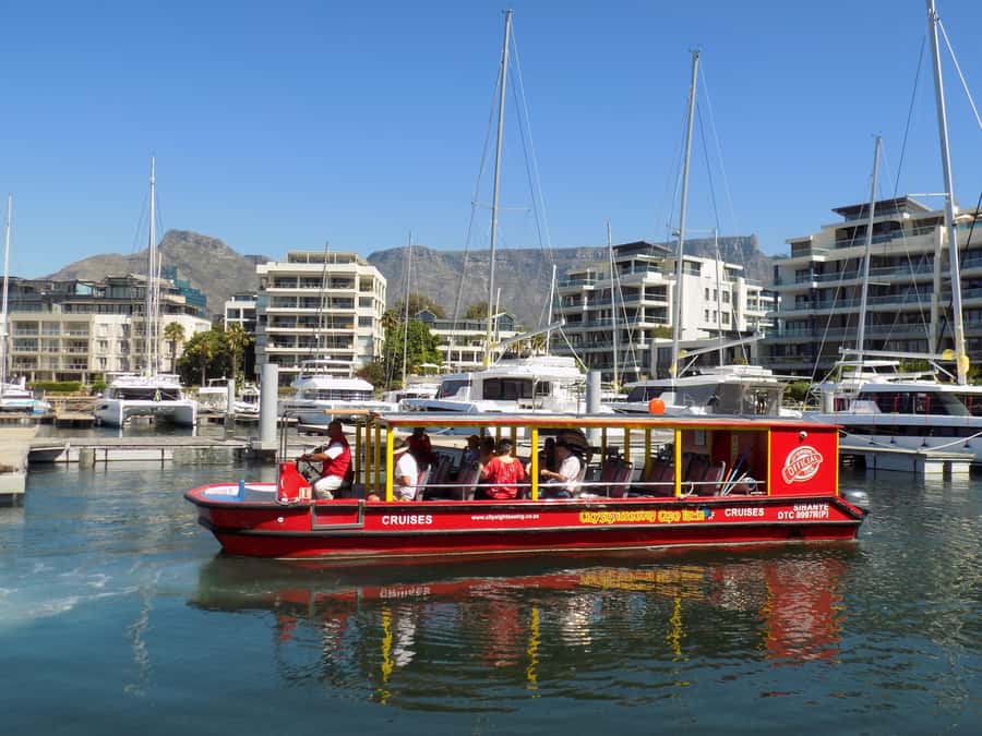 Cape Town: 30 Minute Seal-Watching Harbour Cruise - Key Points Before You Go