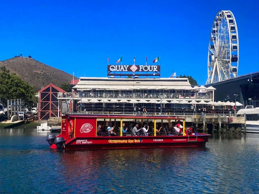 Cape Town: 30 Minute Seal-Watching Harbour Cruise - Why a 30-Minute Harbour Cruise Is a Smart Cape Town Move