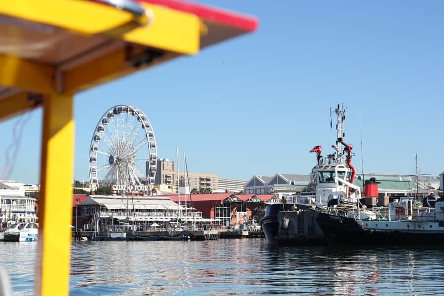 Cape Town: 30 Minute Seal-Watching Harbour Cruise - Table Mountain and the City Skyline, From the Best Seat in the Bay