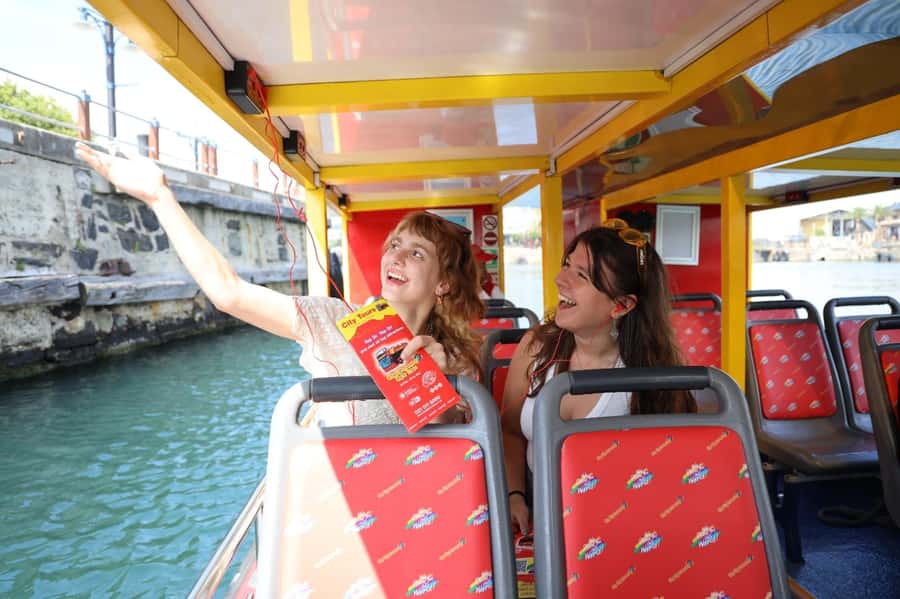 Cape Town: 30 Minute Seal-Watching Harbour Cruise - The 15-Language Audio Guide, and How to Get the Most Out of It