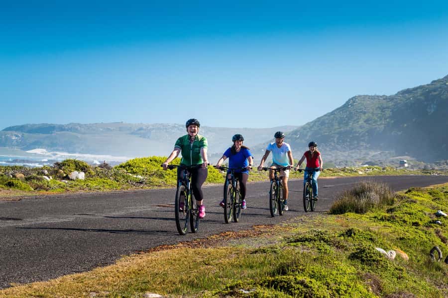 Cape Town: 9-hour Cape Point Private Guided Cycling Tour - From pickup in Cape Town to the Peninsula National Park