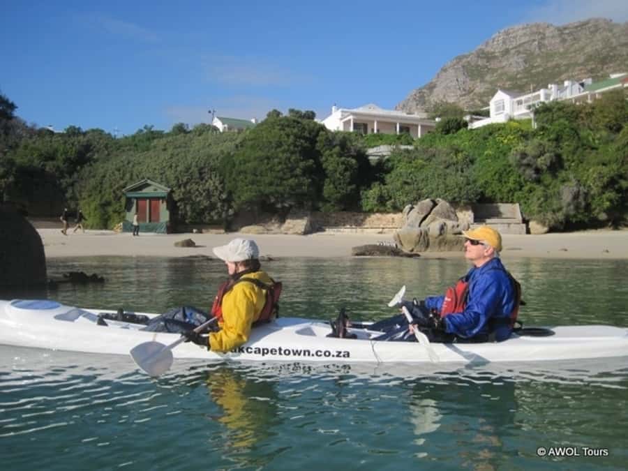 Cape Town: 9-hour Cape Point Private Guided Cycling Tour - Bikes, pace, and what I’d watch out for