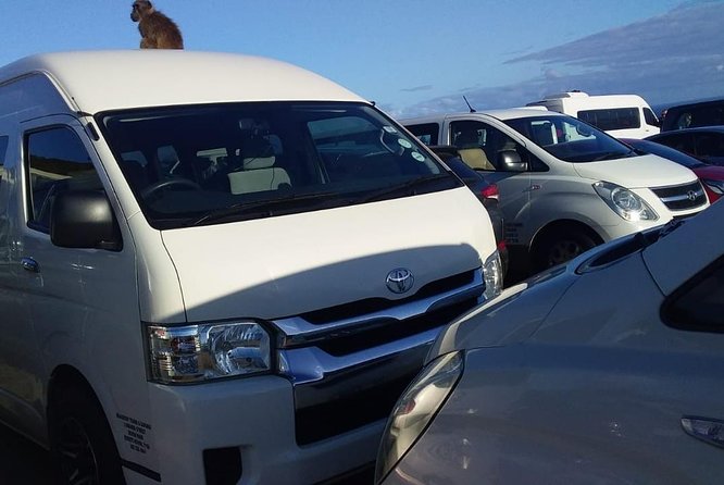 Cape Town Airport Transfers to hotels and Return Transfers, Wi-Fi - Timing That Matches Your Flight, Not a Rigid Schedule