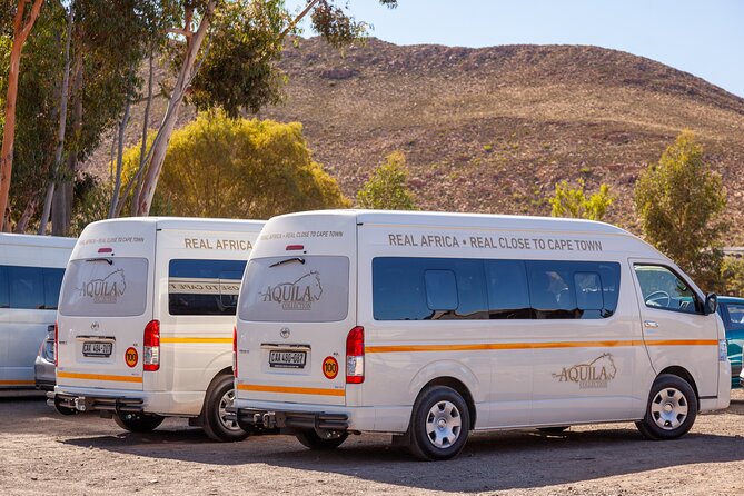 Cape Town Aquila Afternoon Safari with transport and lunch - Pickup, timing, and what the 12:00 pm start really means
