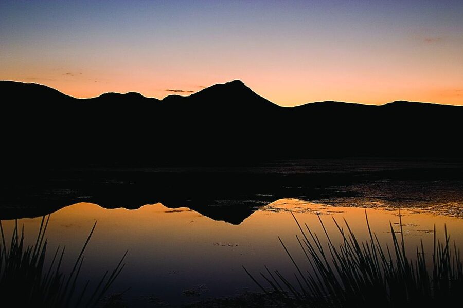 Cape Town: Aquila Game Reserve Day Entrance & Game Drive - The Aquila Big Five day trip: what kind of safari this really is