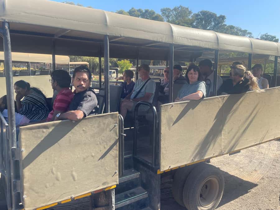 Cape Town: Aquila Game Reserve SAFARI +Lunch Buffet +Pickup - The open-vehicle game drive: how to get the best viewing