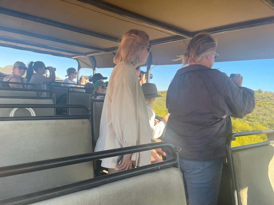 Cape Town: Aquila Game Reserve SAFARI +Lunch Buffet +Pickup - Sunset safari finish: the scenic moments you are paying for