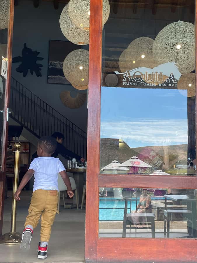 Cape Town: Aquila Game Reserve SAFARI +Lunch Buffet +Pickup - FAQ
