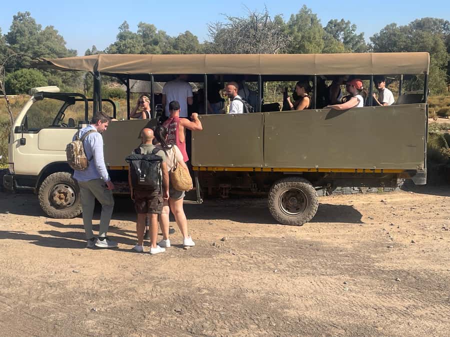 Cape Town: Aquila Game Reserve SAFARI +Lunch Buffet +Pickup - Arrival at the reserve: welcome drinks, safety rules, and a buffet that actually matters