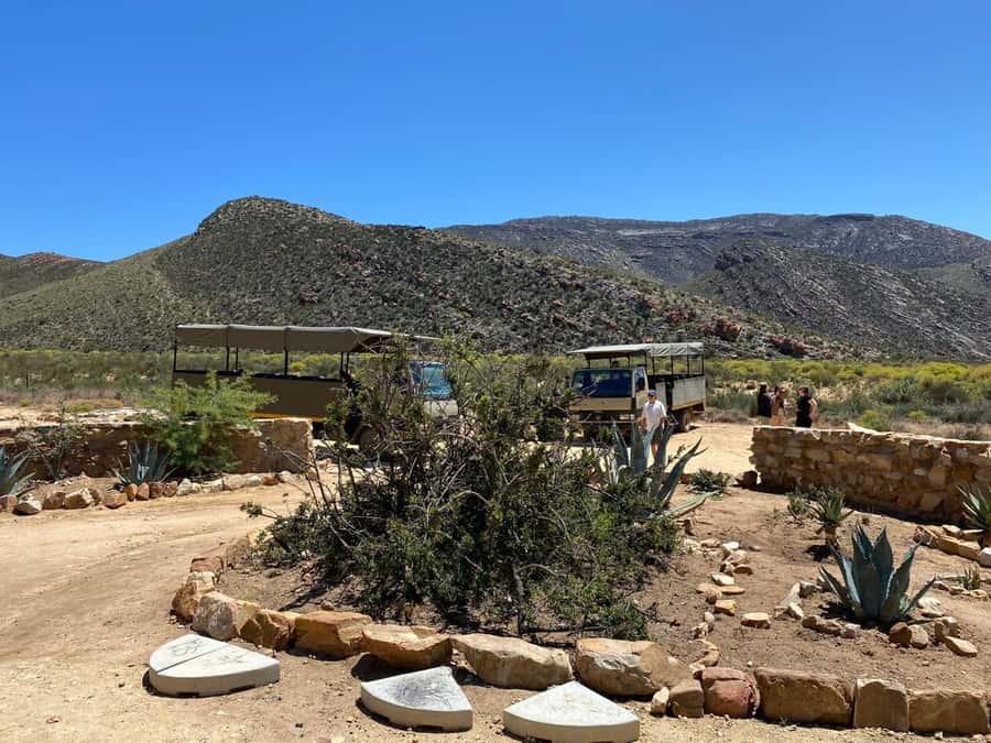 Cape Town: Aquila Game Reserve & V&A Waterfront Tour w/Lunch - Breakfast and lunch at Aquila: buffet value, timing, and dietary options that matter