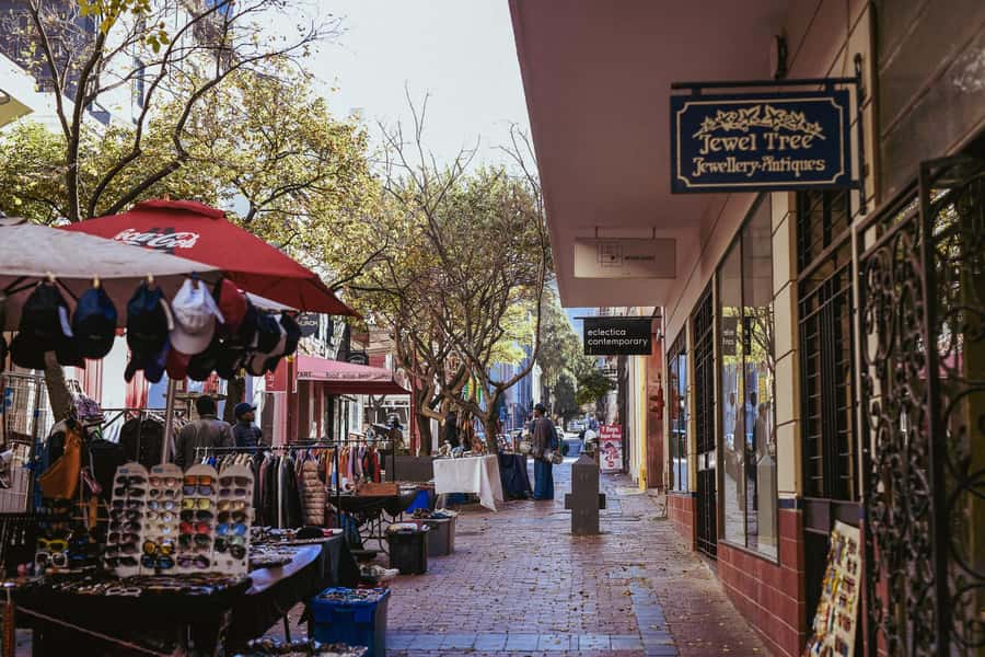 Cape Town: Art, Culture & History Walking Tour - Company’s Garden and the Slave Lodge area: when history is unavoidable