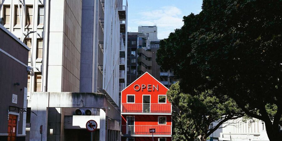Cape Town: Art, Culture & History Walking Tour - Parliament-area sights and the Nelson Mandela exhibition opportunity