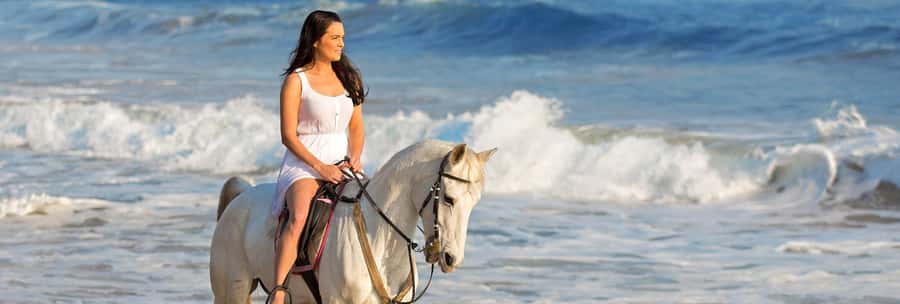 Cape Town: Beach Horse Ride with Hotel Pickup & Drop-off - 5 Key Things You’ll Notice