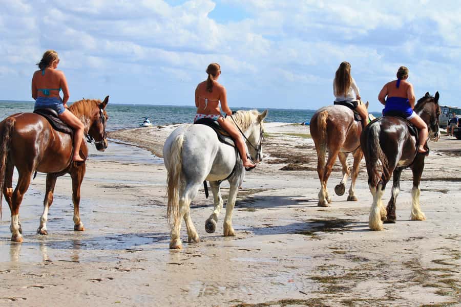 Cape Town: Beach Horse Ride with Hotel Pickup & Drop-off - Why Noordhoek Beach Horse Riding Feels Like a Real Cape Town Day