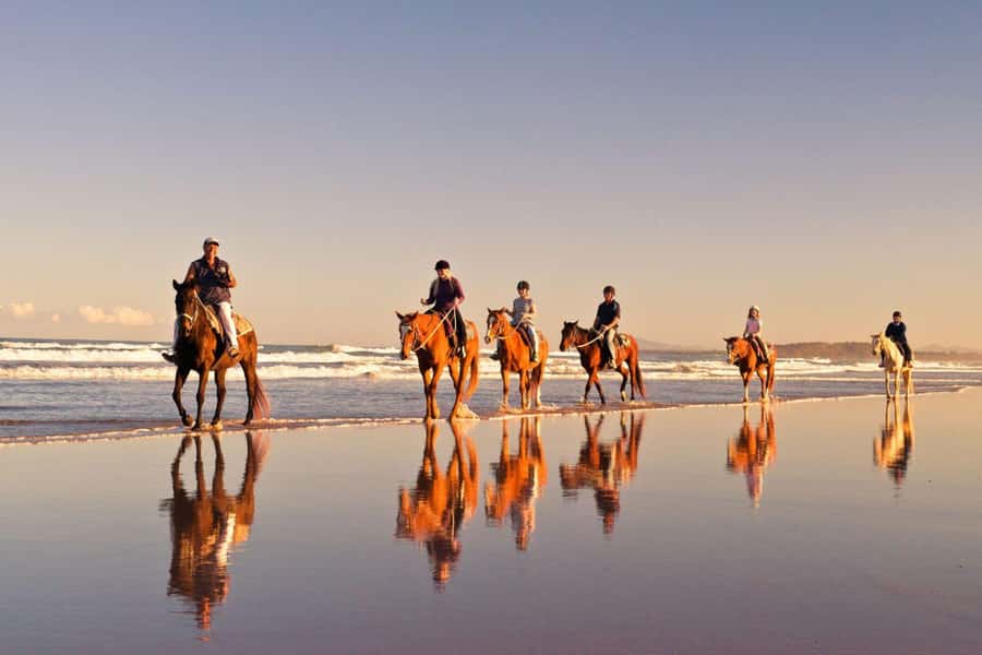 Cape Town: Beach Horse Ride with Hotel Pickup & Drop-off - The Atlantic Ocean Ride: White Sand, Waves, and Possible Sea Spotting