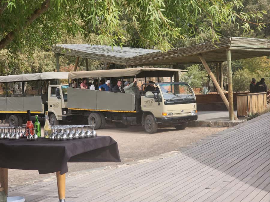 Cape Town big five safari with transport lunch Excl park fee - Conservation lessons that connect what you see to why it matters