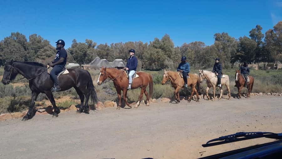 Cape Town big five safari with transport lunch Excl park fee - Panoramic Karoo semi-desert views, plus why this reserve feels different