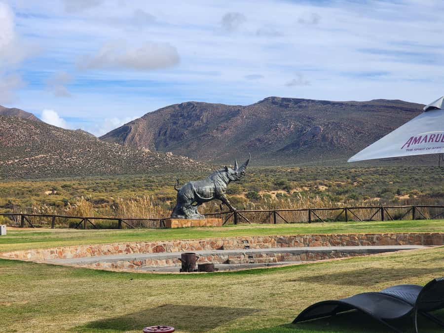 Cape Town big five safari with transport lunch Excl park fee - Who should book this safari, and who might skip it