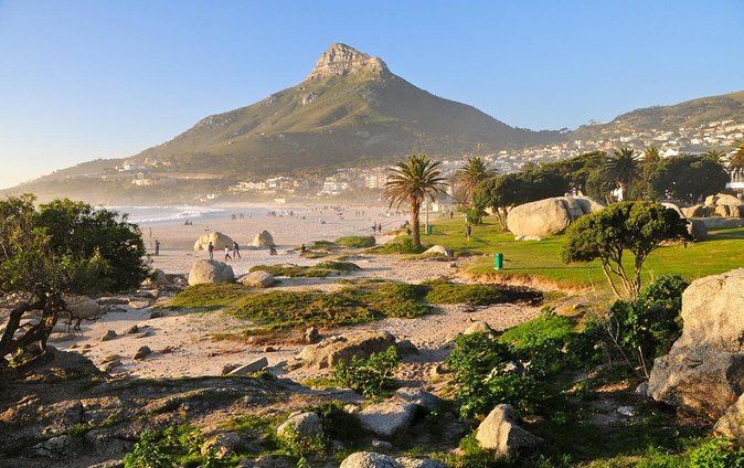 Cape Town Boat Trip - Key points to know before you go