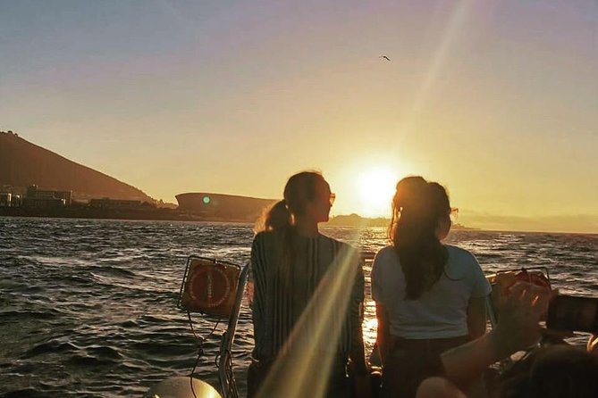 Cape Town Boat Trip - The guide and onboard experience: how it stays more than sightseeing