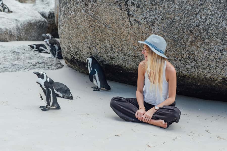 Cape Town: Boulders Penguin Colony Prebooked Entry Ticket - Key things to know before you go
