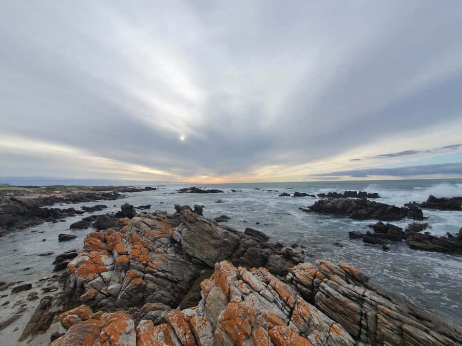 Cape Town: Cape Aghullas Van Tour with Hotel Pickup - Key highlights you should care about