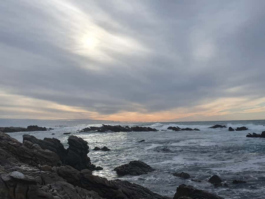 Cape Town: Cape Aghullas Van Tour with Hotel Pickup - Cape Town to Cape Agulhas, in one long, scenic day