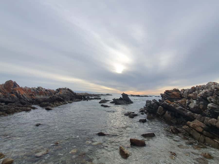 Cape Town: Cape Aghullas Van Tour with Hotel Pickup - Cape Agulhas: where the oceans meet, plus lighthouse and shipwreck views