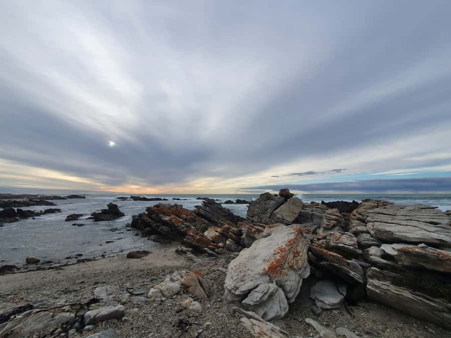 Cape Town: Cape Aghullas Van Tour with Hotel Pickup - Price and value: is $311 worth it?
