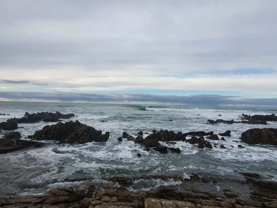 Cape Town: Cape Aghullas Van Tour with Hotel Pickup - What to bring, and how to plan for a rain-or-shine day