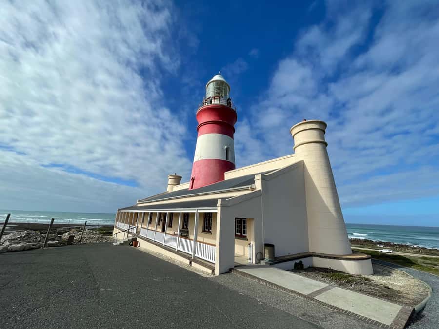 Cape Town: Cape Agulhas and Stony Point Penguin Tour - Pickup, private-group pace, and what the 10 hours actually feels like
