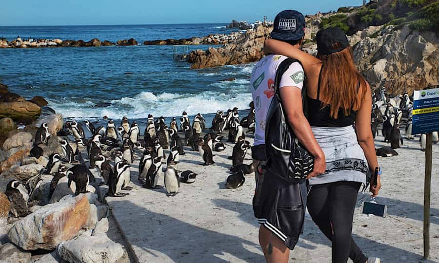 Cape Town: CAPE OF GOOD HOPE AND PENGUINS PRIVATE FULL DAY. - Bo-Kaap and Signal Hill, where color comes with context
