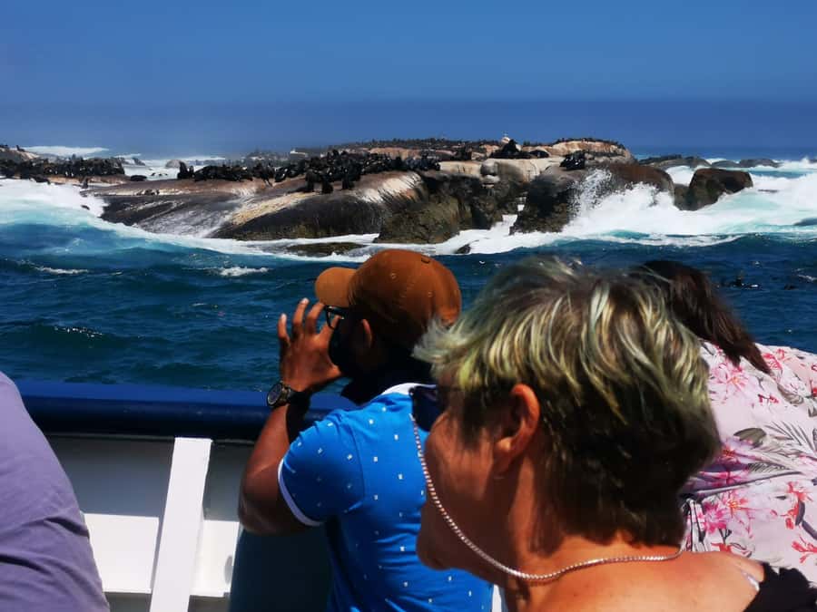 Cape Town: CAPE OF GOOD HOPE AND PENGUINS PRIVATE FULL DAY. - Cape of Good Hope Nature Reserve and Cape Point lighthouse views