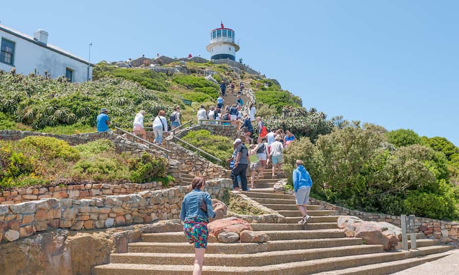 Cape Town: CAPE OF GOOD HOPE AND PENGUINS PRIVATE FULL DAY. - Simon’s Town and Boulders Beach penguins, plus a return through Muizenberg