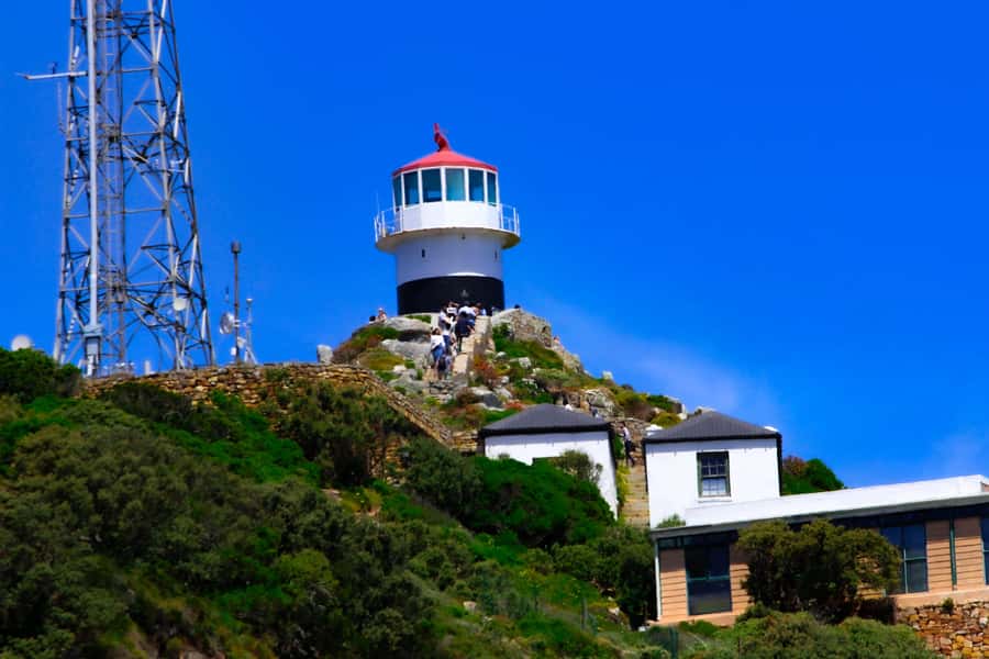 Cape Town: Cape of Good Hope & Boulders Beach Group Tour - Quick hits that matter on this Cape day trip