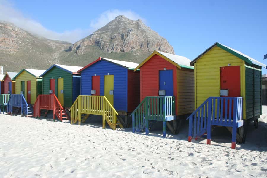 Cape Town: Cape of Good Hope & Boulders Beach Group Tour - Boulders Penguin Colony: where you actually watch, not just glance