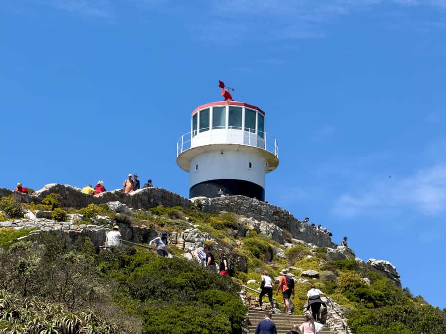 Cape Town: Cape of Good Hope & Penguin Colony Entry Ticket - Who Should Book This Ticket?