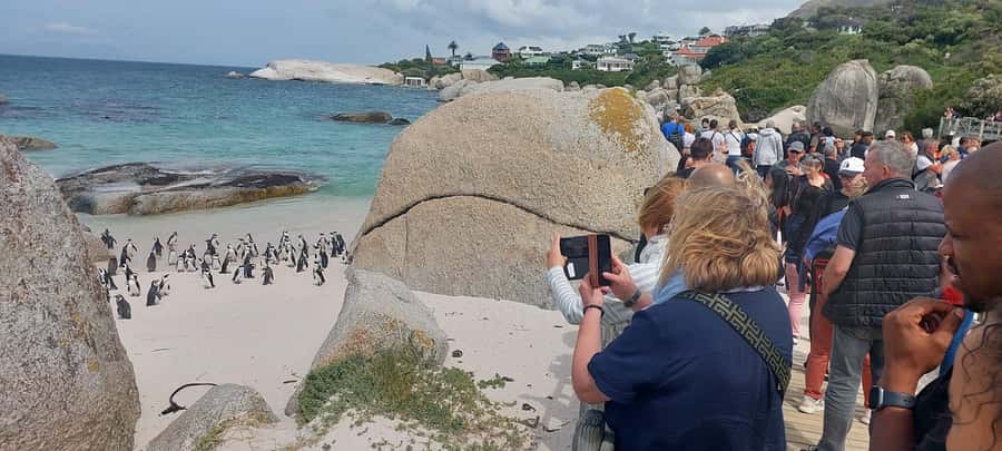 Cape Town: Cape of Good Hope, Penguins and Sightseeing Tour - Camps Bay to Hout Bay Harbor, Plus an Optional Seal Island Boat Trip