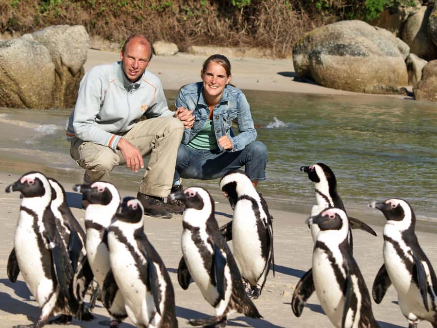 Cape Town: Cape of Good Hope & Penguins Day Tour with Pickup - Key Highlights You’ll Feel Immediately