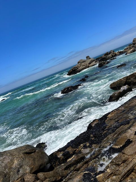 Cape Town: Cape of Good Hope & Penguins Full-Day Guided Tour - Chapman’s Peak Drive: the iconic road stop that sells the peninsula