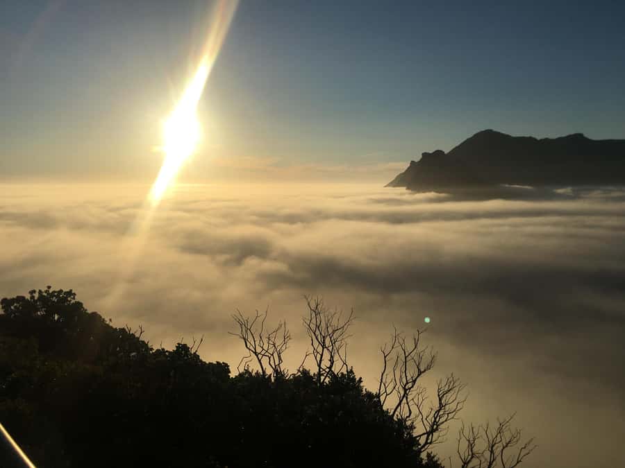 Cape Town: Cape of Good Hope & Penguins Full-Day Guided Tour - Cape of Good Hope and the Old Cape Point Lighthouse: where the views feel earned