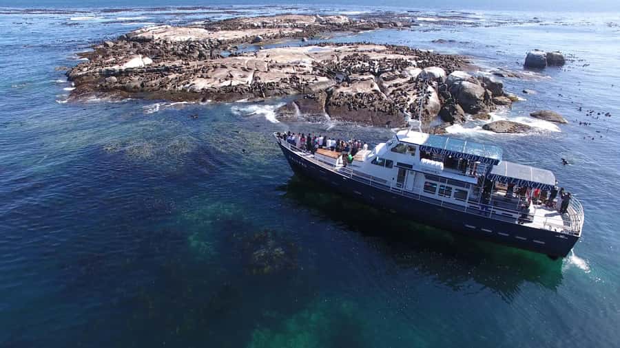 Cape Town: Cape of Good Hope, Seals and Penguins Day Tour - Starting From Cape Town: Bo-Kaap and the Beaches Set the Mood