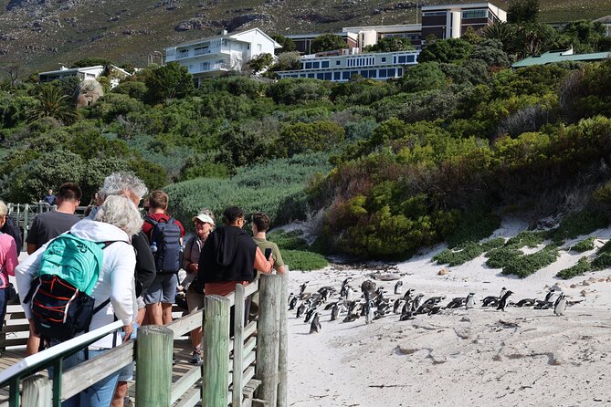 Cape Town: Cape of Good Hope, Table Mountain & Wine Tasting Tour - Camps Bay and the Maiden’s Cove Kodak moment