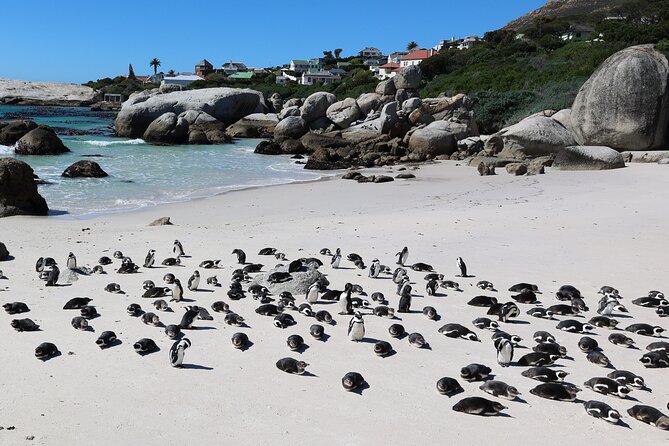 Cape Town: Cape of Good Hope, Table Mountain & Wine Tasting Tour - Table Mountain cable car, rotating floors and big-city views