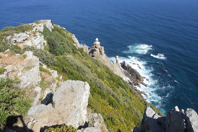 Cape Town: Cape Peninsula Half Day Private Tour - What to Expect From a Private 8:00 am Start