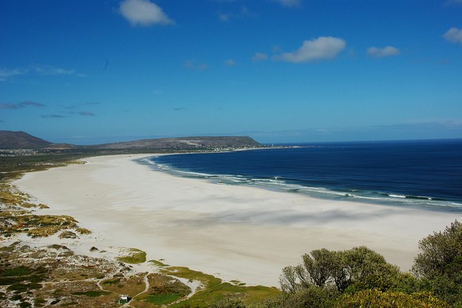 Cape Town: Cape Peninsula Half Day Private Tour - Price and Logistics: What You’re Really Paying For