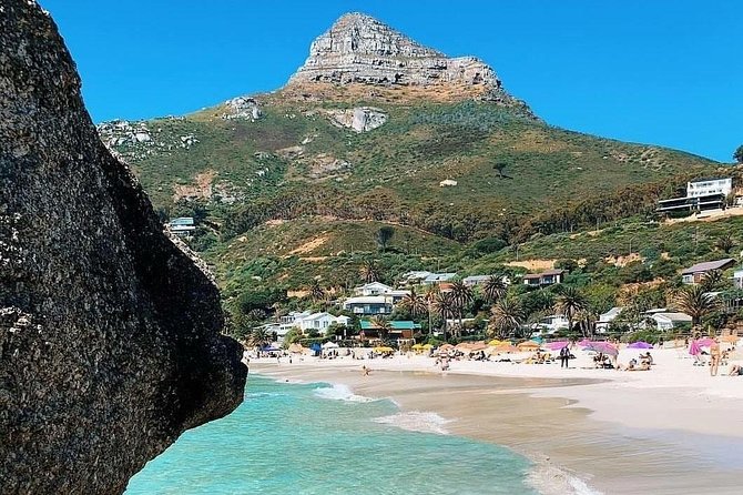 Cape Town: Cape Peninsula Private Tour Full Day - Cape Point Nature Reserve: Cape of Good Hope and wildlife time