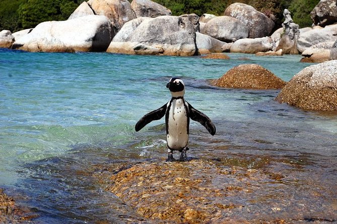 Cape Town: Cape Peninsula Private Tour Full Day - Boulders Beach penguin colony at Simon’s Town