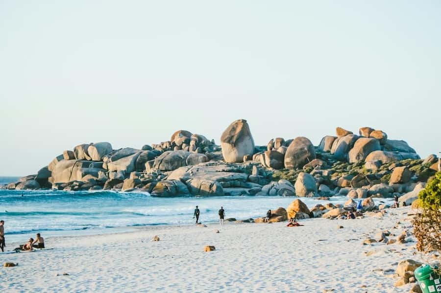 Cape Town: Cape Point and Penguin Colony Full Day Tour - Constantia Wine Country: A Short Stop with Big Reputation
